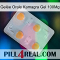 Gelée Orale Kamagra Gel 100Mg 24